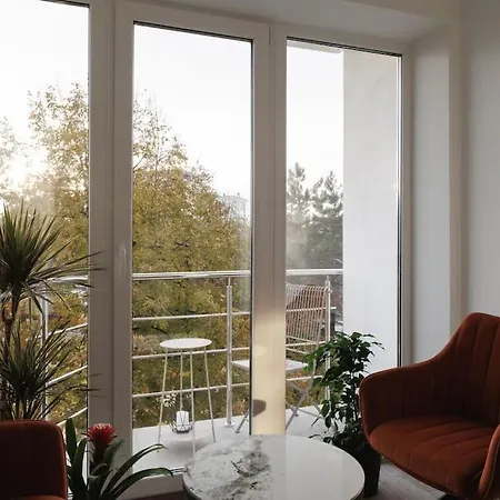 Modern And Cozy