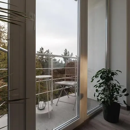Apartment Modern And Cozy Chisinau